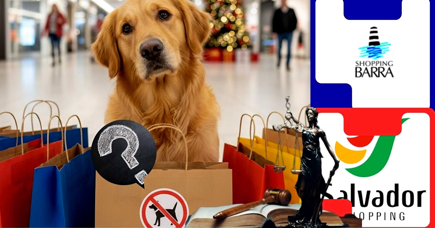 Entenda como funciona as regras nos shoppings da capital baiana (Foto Reprodução/Montagem/TV Foco/Canva/GMN/Freepik/Logos)