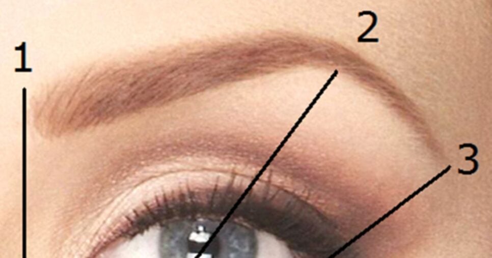 Sobrancelhas - Foto Internet