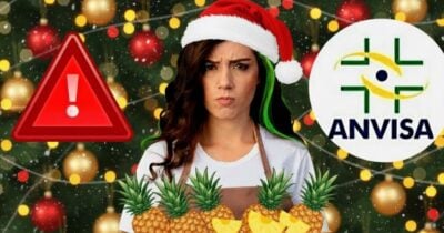 ANVISA emite aviso envolvendo o abacaxi (Foto Reprodução/Montagem/Lennita/TV Foco/Canva/GMN/Lennita/ANVISA)