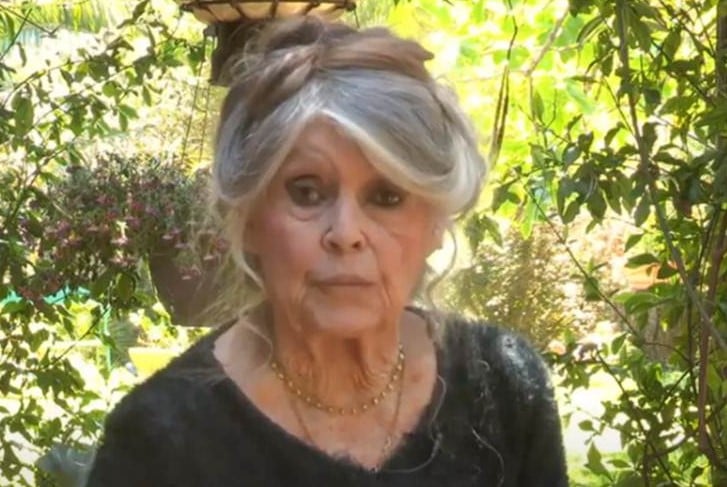 Brigitte Bardot  (Foto: Reprodução / YouTube)