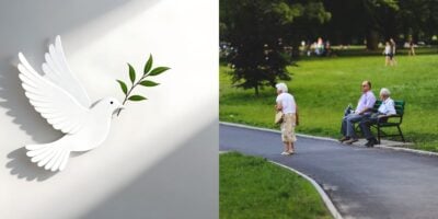 Cidade para idosos terem paz e qualidade de vida (Reprodução: Montagem TV Foco)