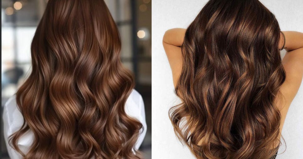 Cabelo marrom escuro (Foto: Divulgação)