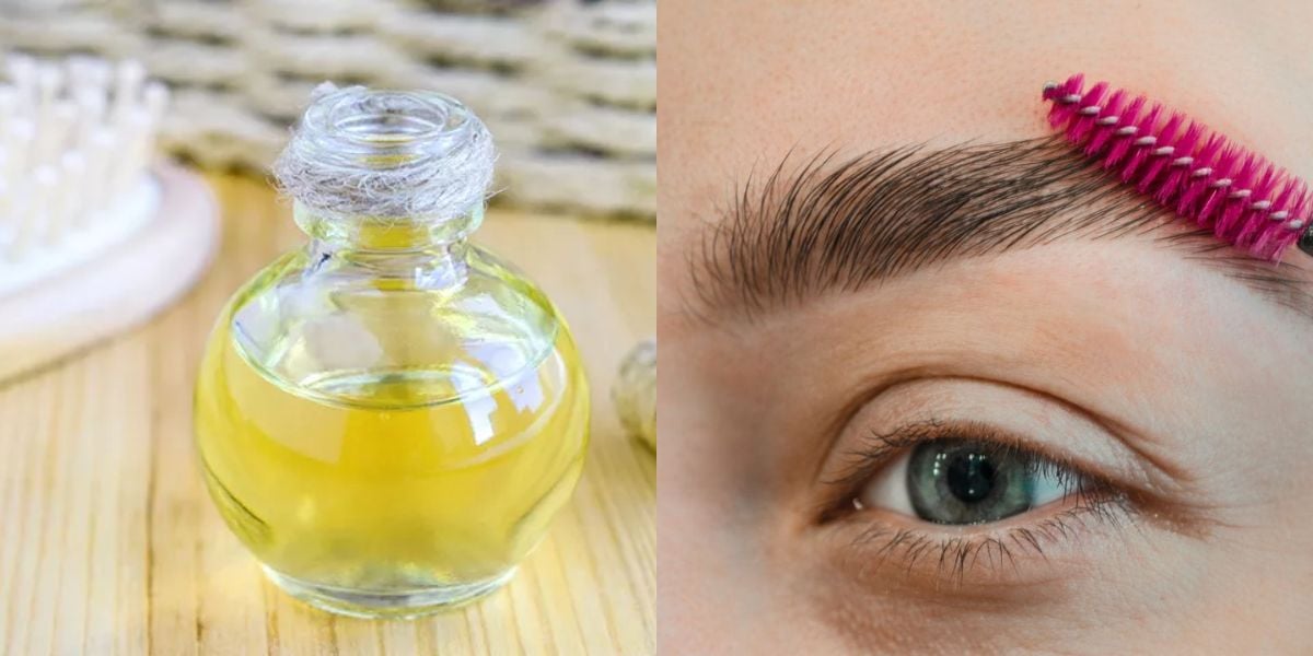 Óleo ajuda a deixar sobrancelhas grossas e hidratadas (Reprodução: Montagem TV Foco)