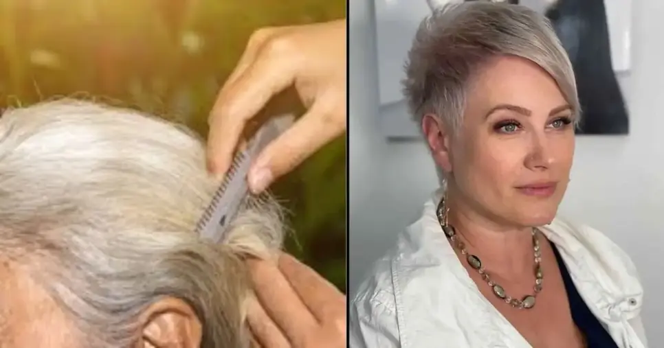 De volta aos 30 anos: 5 cortes de cabelo para idosas rejuvenescerem em 2026 (Foto Reprodução/Montagem/TV Foco/Canva/Paola) De volta aos 30 anos: 5 cortes de cabelo para idosas rejuvenescerem em 2026 (Foto Reprodução/Montagem/TV Foco/Canva/Paola)