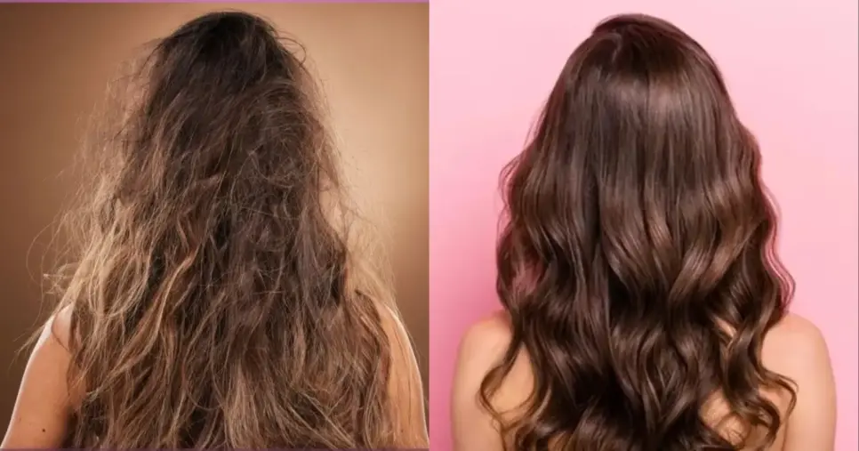 Cabelo hidratado e bem nutrido (Foto: Reprodução/ Internet)
