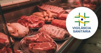 Ilustração carnes com mosca e logo Vigilância Sanitária (Foto: Montagem TV Foco / GMN / Internet)