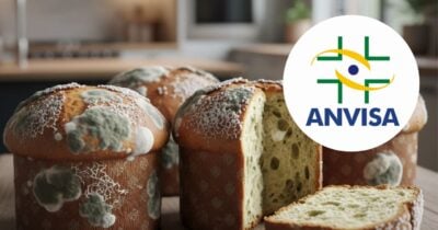 Ilustração panetones com fungos e logo Anvisa (Foto: Montagem TV Foco / GMN / Internet)