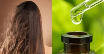 Mais potente que hidratação de salão: 3 óleos ressuscitam o brilho do cabelo e dão adeus ao frizz