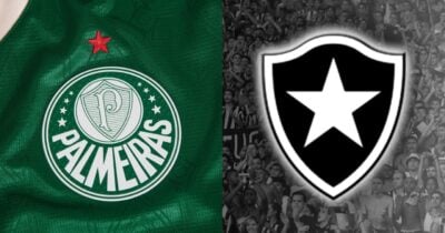 Palmeiras e Botafogo (Foto: Reprodução/ Internet)