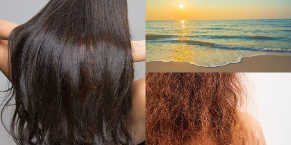 Cabelo hidratado por menos de R$30 após a praia (Reprodução: Montagem TV Foco)