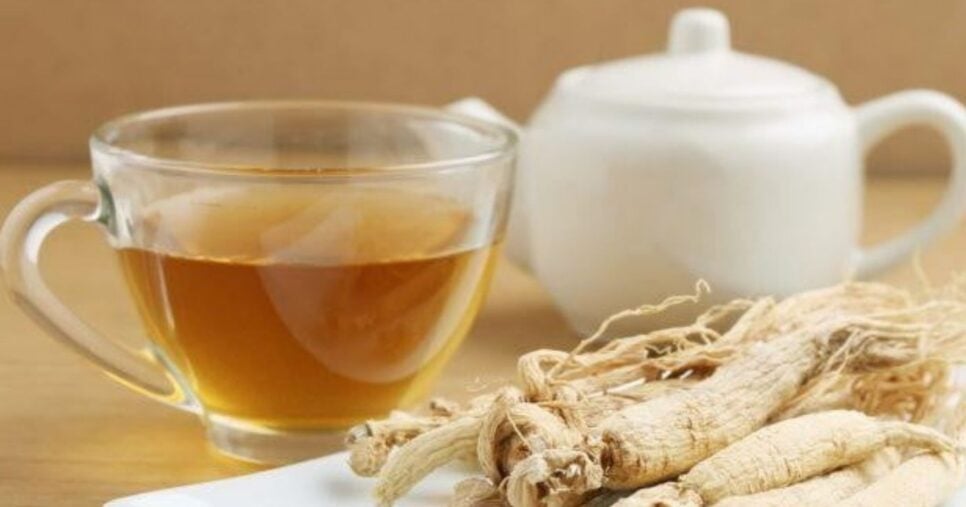 Chá de Ginseng (Foto Reprodução/Canva)