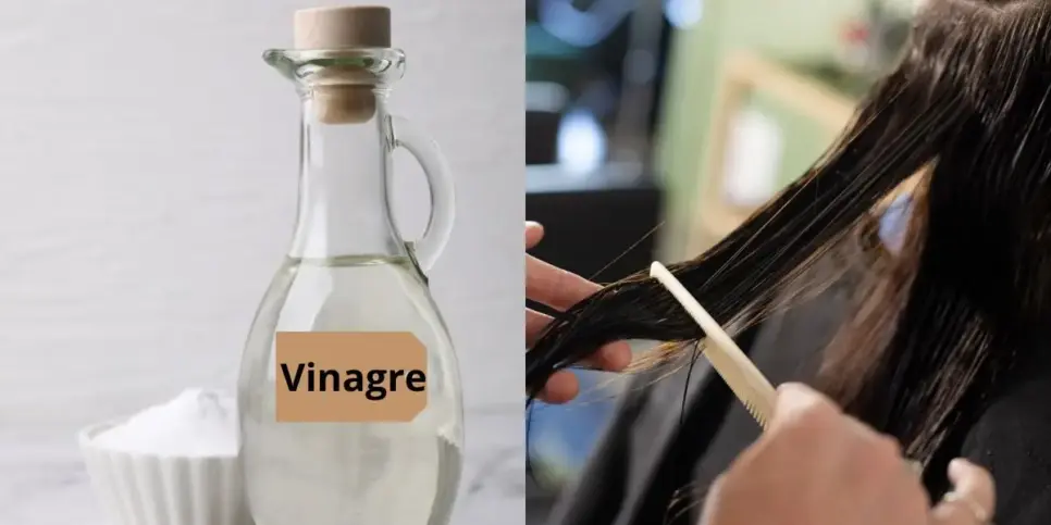 Selagem capilar com vinagre para acabar com o frizz (Reprodução: Montagem TV Foco)