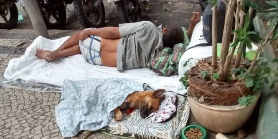 Abrigos obrigados a aceitas pets em Belo Horizonte (Reprodução: Divulgação) Abrigos obrigados a aceitas pets em Belo Horizonte (Reprodução: Divulgação)