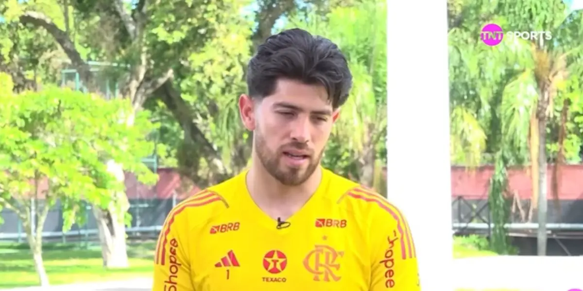 Rossi é o goleiro titular do Flamengo (Foto: Reprodução/ Internet)