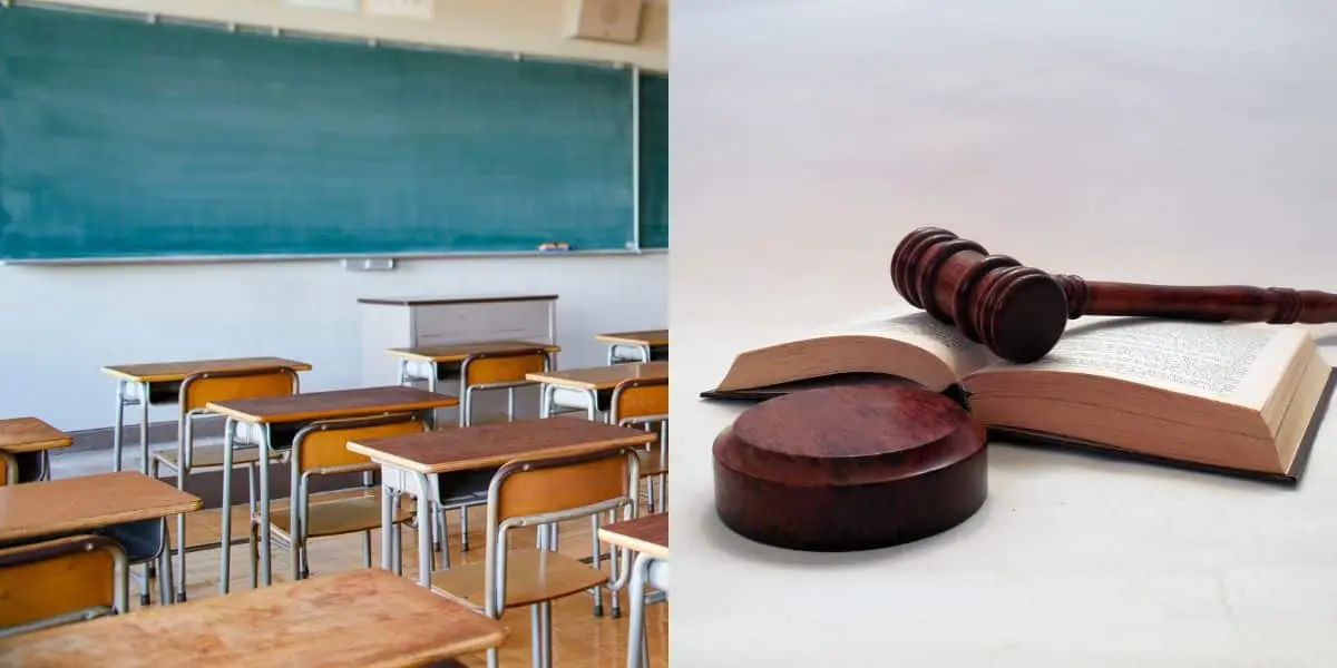 2 leis estaduais com obrigação às escolas (Reprodução: Montagem TV Foco)