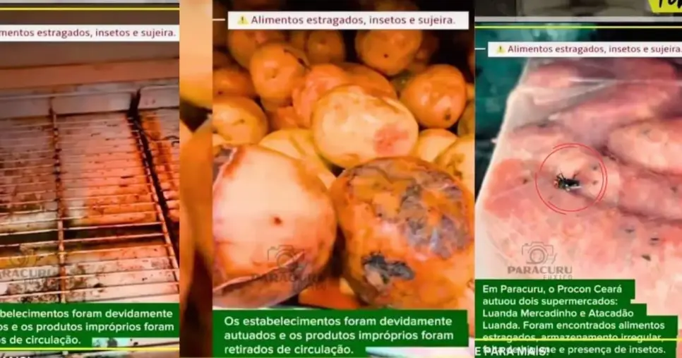 Imagens dos itens encontrados e situação de falta de higiene dos locais autuados (Foto Reprodução/Instagram/@Fuxico) Imagens dos itens encontrados e situação de falta de higiene dos locais autuados (Foto Reprodução/Instagram/@Fuxico)