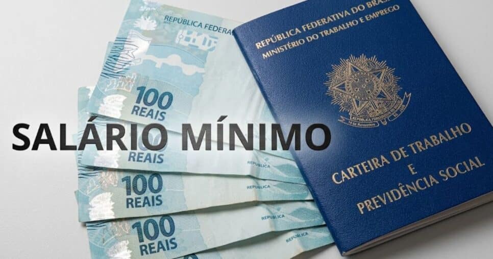 Ilustração salário mínimo e carteira de trabalho (Foto: Montagem / GMN)