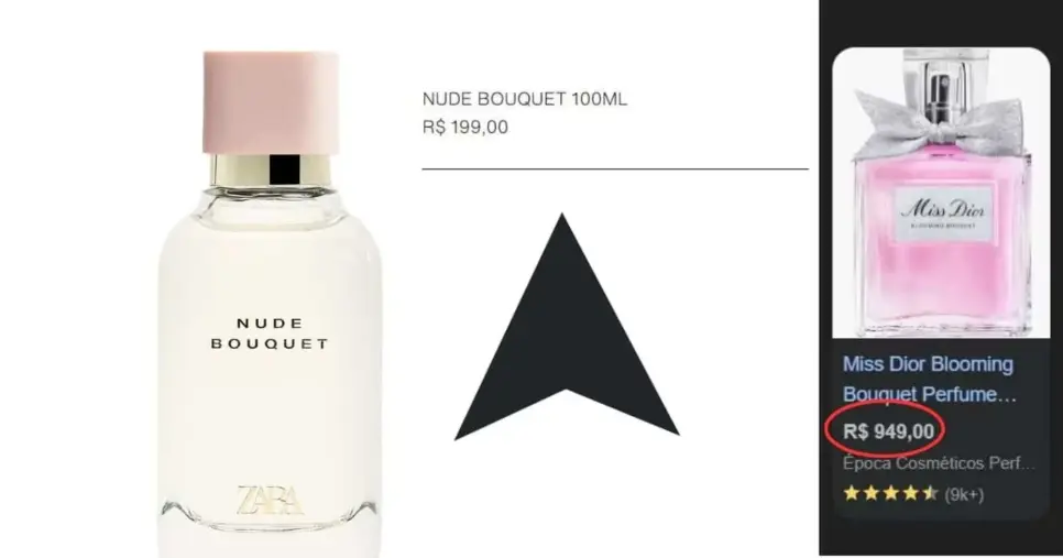 Nude Bouquet (Foto Reprodução/Montagem/TV Foco/Zara/Google Shopping)