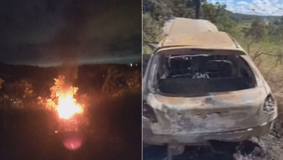Carro roubado de pastor italiano (Foto: Reprodução / Instagram) 