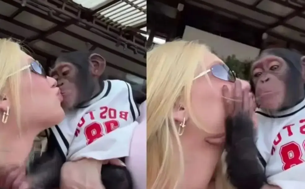 Virginia Fonseca publicou video com macaco (Foto: Reprodução / Instagram) Virginia Fonseca publicou video com macaco (Foto: Reprodução / Instagram)