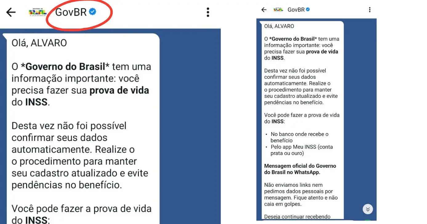 Mensagem do Governo Federal sobre prova de vida do INSS (Foto: Governo Federal)