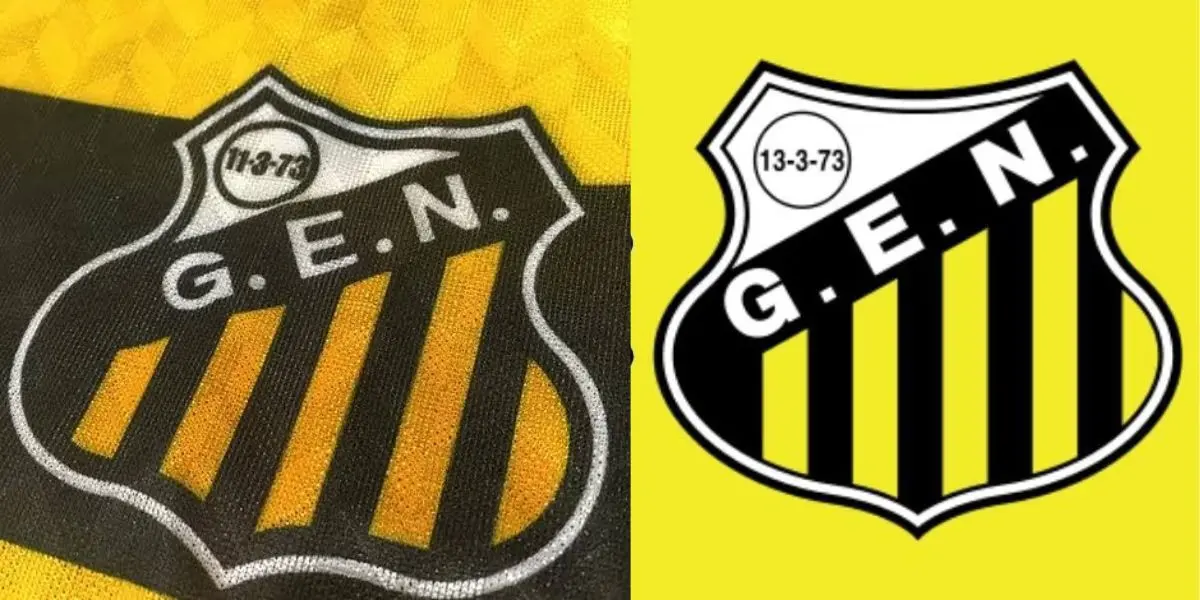 Grêmio Esportivo Novorizontino decretou falência em 1999 (Reprodução: Montagem TV Foco) Grêmio Esportivo Novorizontino decretou falência em 1999 (Reprodução: Montagem TV Foco)