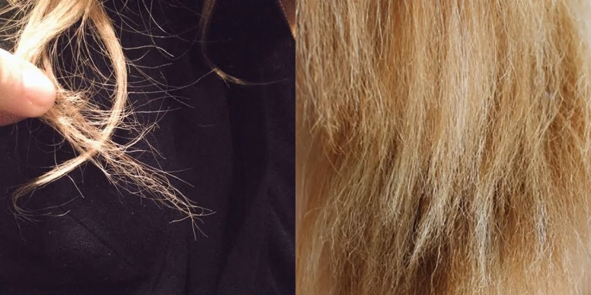 Fim do cabelo de palha com hidratação diária (Reprodução: Montagem TV Foco)