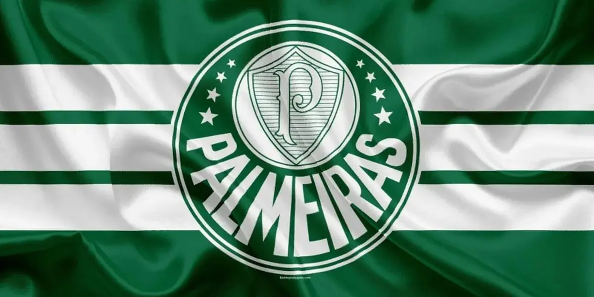Palmeiras - Foto: Internet