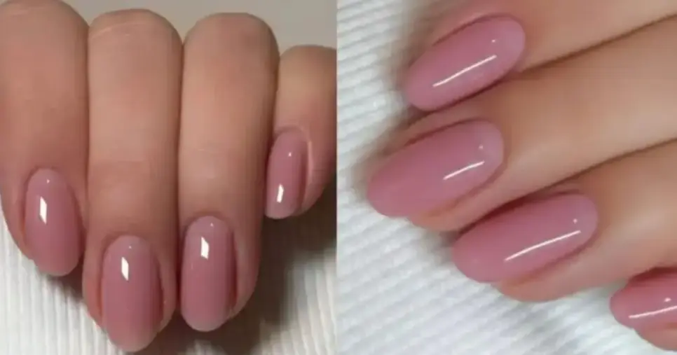Rosé clássico com fundo cremoso (Foto Reprodução/Montagem/Lennita/TV Foco/Pinterest) Rosé clássico com fundo cremoso (Foto Reprodução/Montagem/Lennita/TV Foco/Pinterest)
