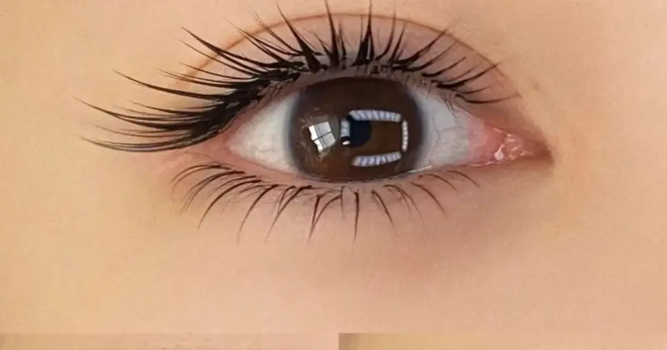 Cílios com efeito leque (Foto Reprodução/Shopee) Cílios com efeito leque (Foto Reprodução/Shopee)