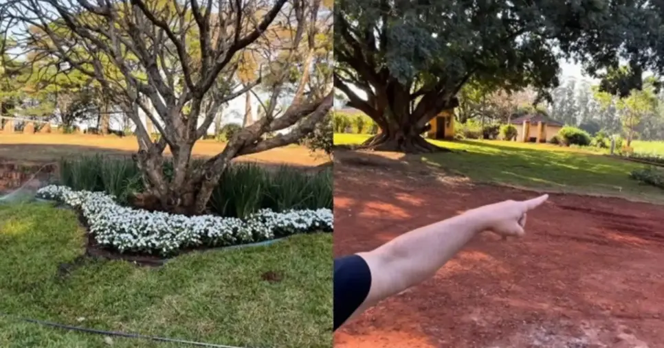 Jardim da mansão de Edu Guedes e Ana Hickmann - Foto Montagem Jardim da mansão de Edu Guedes e Ana Hickmann - Foto Montagem