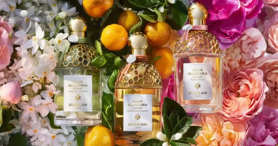 Perfume Guerlain Aqua Allegoria Mandarine Basilic (Foto: Reprodução) Perfume Guerlain Aqua Allegoria Mandarine Basilic (Foto: Reprodução)