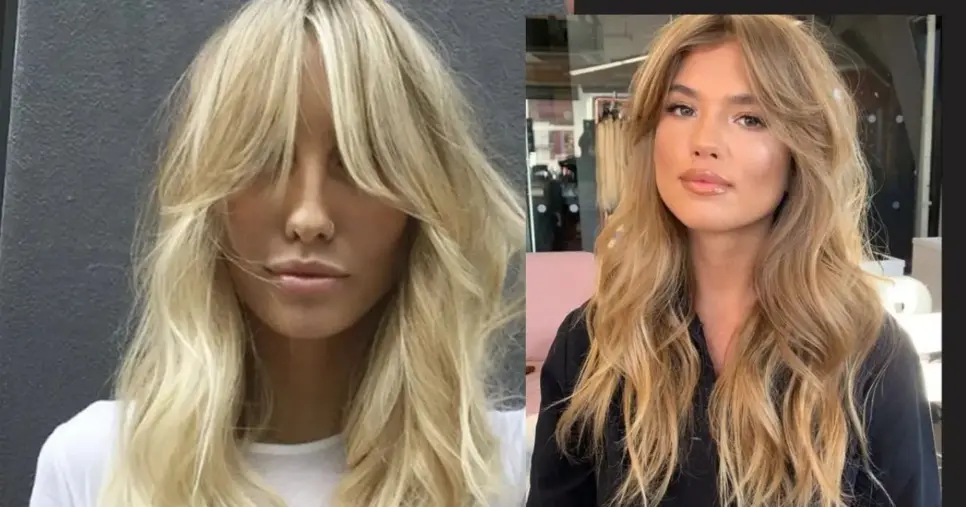 Franja cortininha (Foto Reprodução/Montagem/TV Foco/Pinterest)