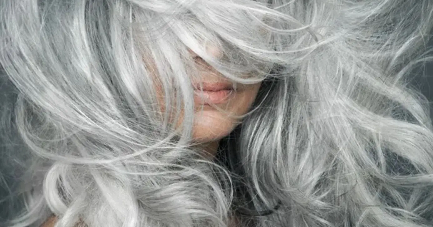 Cabelo branco sem frizz: cuidados simples ajudam a combater o ressecamento (Foto: Reprodução/Internet)